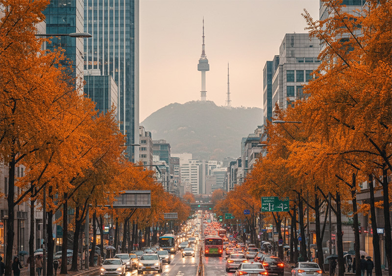 어느덧 선선한 바람이 깊어지고, 단풍이 물드는 10월 입니다.