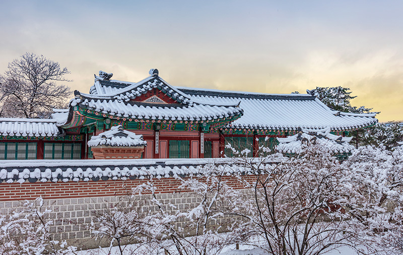 새로운 희망, 새로운 마음으로 새해 힘차게 출발하시길 바랍니다.